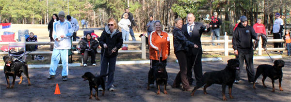 Wenno 2010 Sieger Show Stud 